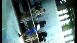 Guano Apes- Electric Nights