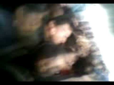 moudahara Ibn al khatib