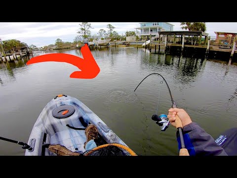 I HOOKED Into this BEAST While Searching for Big Trout!!