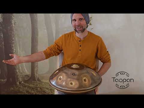 Taopan Handpan - Mini 46cm - Dimelodia (Dminor Variation) & Kurd