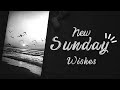 Happy Sunday Status Video Sunday Wishes New Sunday Whatsapp Status 5minutesforyou