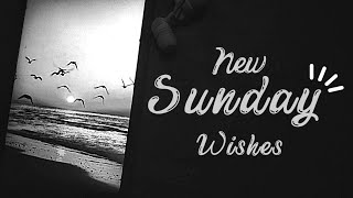 Happy Sunday status Video | Sunday Wishes | New Sunday whatsapp status @5minutesforyou