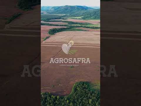 🌾 AGROSAFRA – OPORTUNIDADE DE INVESTIMENTO | Brejinho de Nazaré – TO. #agro #fazenda