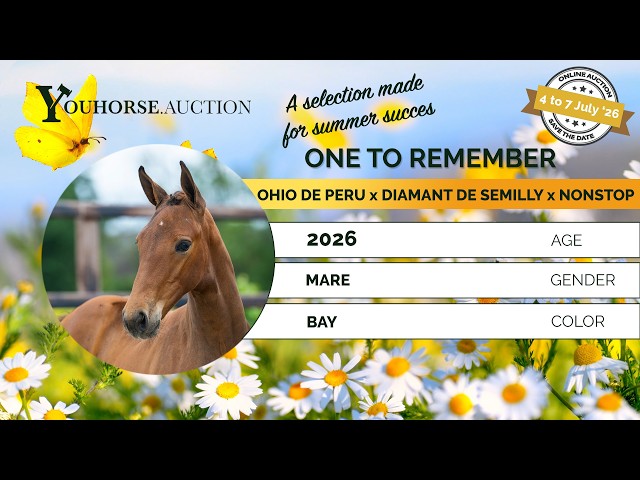 One to Remember