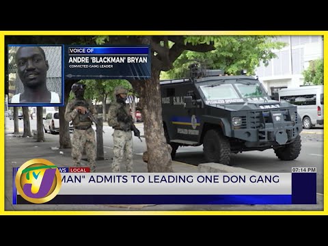 Andre 'Blackman' Bryan Admits to Leading One Don Gang TVJ News