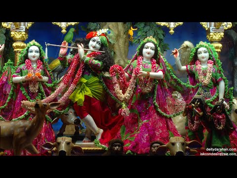 31st Jan. '22 | Mangal Aarti Darshan | Sri Sri Radha Gopinath Temple| ISKCON Chowpatty Mumbai.