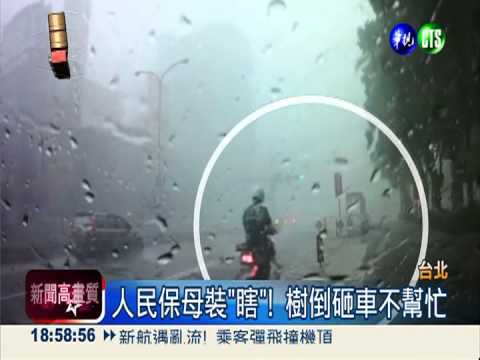 人民保母裝"瞎"! 樹倒砸車拒伸援