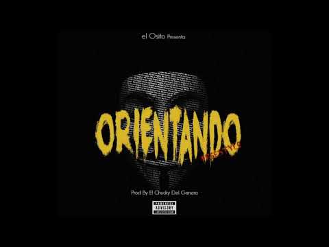 El Osito Wito - Orientando Freestyle