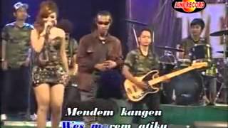 Download lagu Ratu Goyang Cedhut Cedhut IKIF KAWAZHIMA   Mendhem Kangen   Om AIRLANGGA mp3