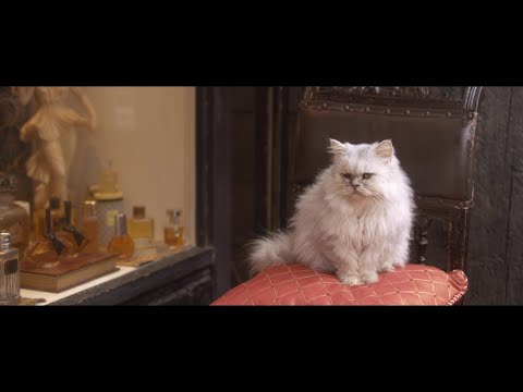 黒木瞳主演、映画『魔女の香水』予告編【2023年6月16日公開】