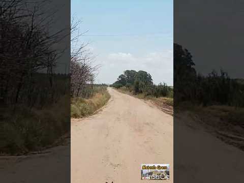 🇦🇷 ¿Una Mina de Oro Abandonada? 🇦🇷 #trenesargentinos #canalmarcelogreco #ferrocarrilbelgrano