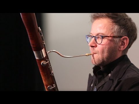 Fagott  (Musikschule Luzern)