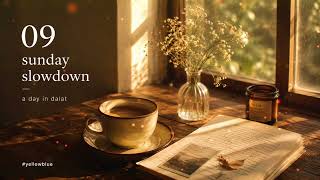 9. SUNDAY SLOWDOWN | HNP | coffee chill music No.2 | relax with...