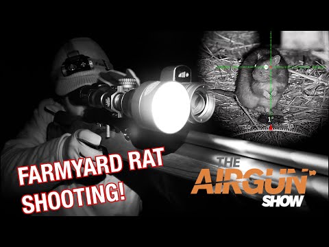 The Airgun Show | Farmyard Rat Shooting at Night| Crosman Trailhawk air rifle review