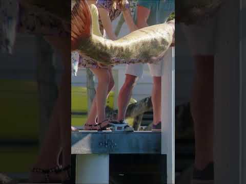 What a TRIP for Ms. Santos #makomermaids #jet2holidays #jet2