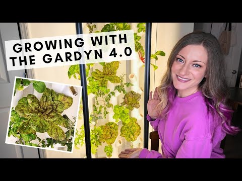 Our experience with the Gardyn 4.0 hydroponic indoor vertical gardening system!