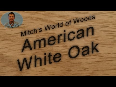 American White Oak - Mitch's World of Woods
