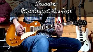 rooster - staring at the sun