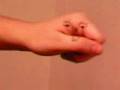 J Lo Hand Puppet