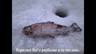Рыбалка на хариуса зимой в карелии