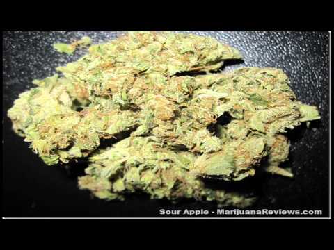 TZB (mC, Pejos) - Tańcze z Blantami  [HD]