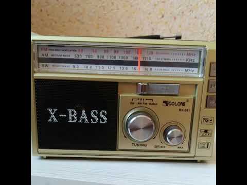 Dilorom Soipova-Davron suraylik