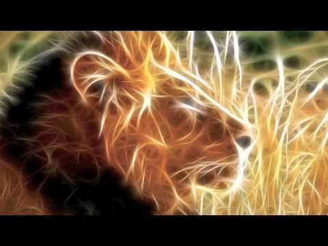 mickyhermansen’s Video 128773541280 XbCRTaxo9kc