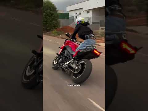 Tracer 900 🥵🇧🇷#shorts #244 #tracer900 #grau #viralvideo