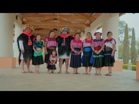 La Hermandad - Grupo Soberano De Tierra Mixteca (Video Oficial)