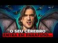 Como é ser um MORCEGO?