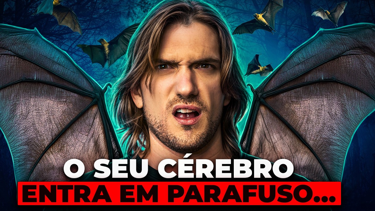 Como é ser um MORCEGO?