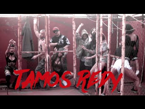TOMASA DEL REAL x CHICO SONIDO - TAMOS REDY