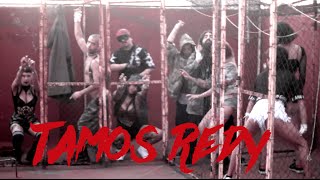 TOMASA DEL REAL x CHICO SONIDO - TAMOS REDY