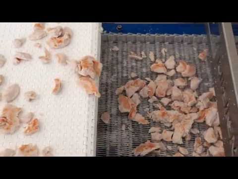 arctic.®a6 - Geflügel / poultry