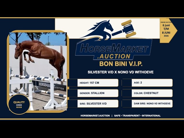 Bon Bini V.I.P.