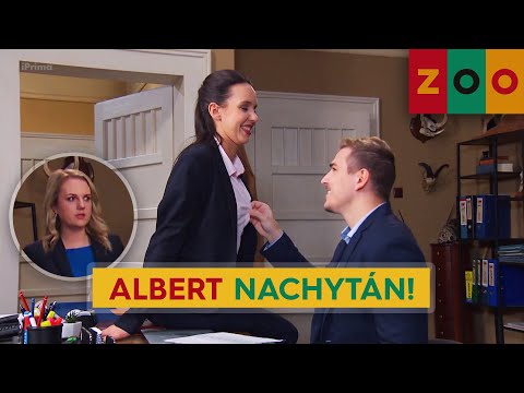 ZOO (22) - Albert nachytán! Už po druhé