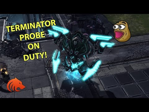 StarCraft 2: Beating Grandmaster Players With 1 Probe?! 😂 😂 😂
