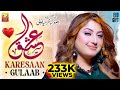 Ishq Karesaan Gulaab New Punjabi Saraiki Song 2025 Official Music Video Thar Production