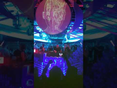 Bpm festival 2019 shall ocin b2b maceo plex