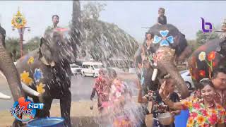 ชวนเล่นน้ำกับช้าง สงกรานต์กรุงเก่า อยุธยาฯ NBT ทั่วไทย วันที่ 9 เมษายน 2567 #NBT2HD