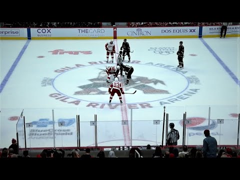 FULL OVERTIME EBTWEEN THE COYOTES AND REDWINGS [11/20/21]