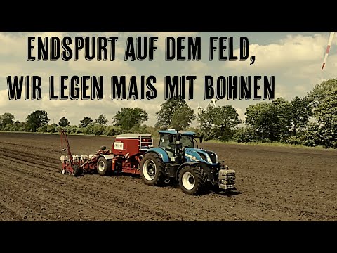 Farm-Vlog #19 In den kurzen Regenpausen geben wir Gas um endlich die Feldbestellung zu beenden.