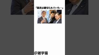 「国民は裏切られていた…」自民党のカネの闇をトランプ大統領が大暴露した件に関する雑学#shorts #雑学 #自民党 #立憲民主党 #cia #石破茂