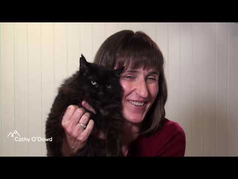 Sample video for Cathy O'Dowd