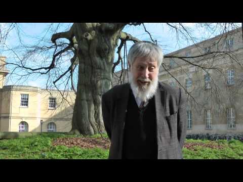 The curious phenomenon of the ornamental hermit