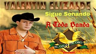 VALENTIN ELIZALDE &quot;EL GALLO DE ORO&quot; MIX~SIGUE SONANDO