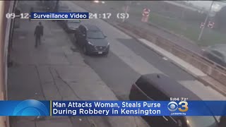 Man Attacks Woman, Steals Purse During Robbery In Kensington