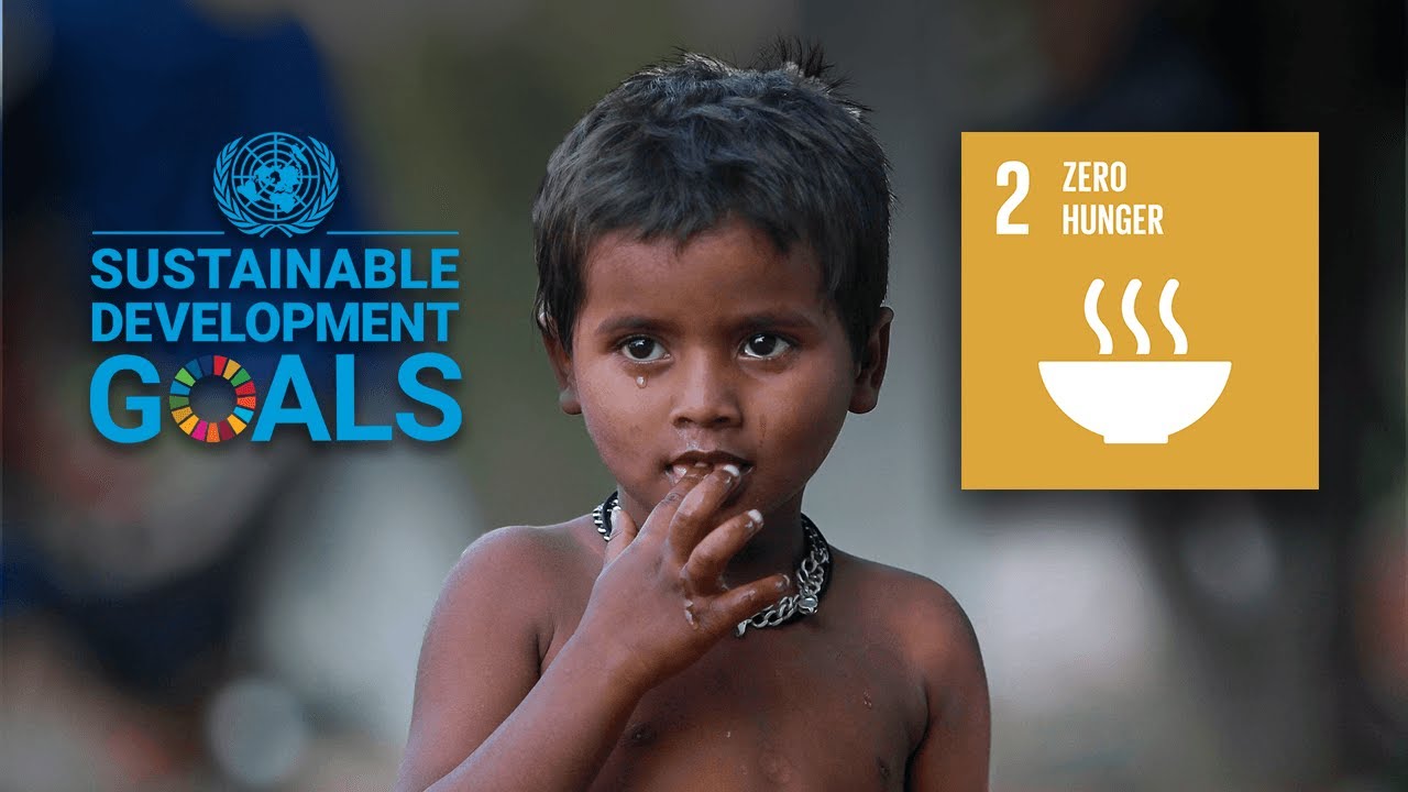 SDG (Sustainable Development Goals) - Goal 2: Zero Hunger