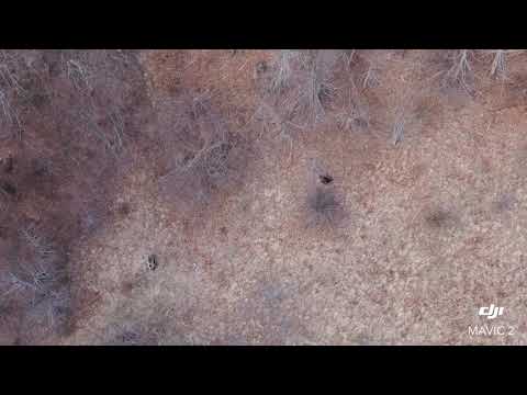 Hunting With Drone - Mrkopalj (Croatia)