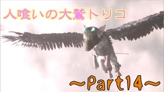 【実況】1人の少年と1匹の大鷲の新たなる神話【人喰いの大鷲トリコ】Part14